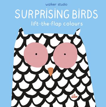 Surprising Birds: Lift-the-Flap Colours 繽紛的鳥兒：顏色翻翻書（厚頁書）（外文書）