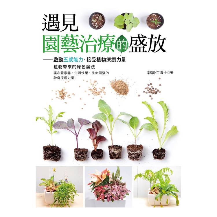 遇見園藝治療的盛放(噴泉)