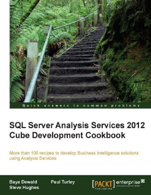 SQL Server Analysis Service(電子書)