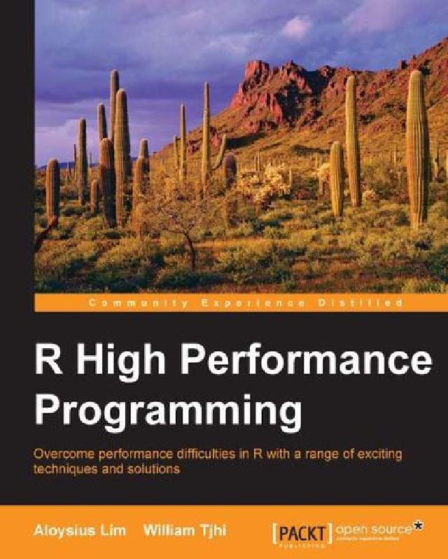 R High Performance Programm(電子書)