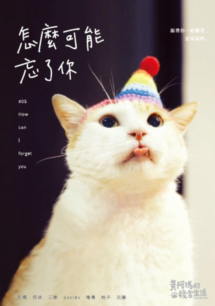 黃阿瑪的後宮生活：怎麼可能忘了你
