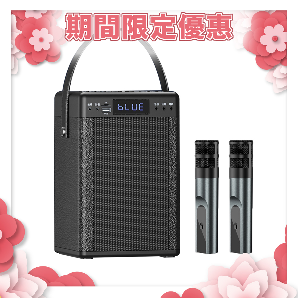 YOULISN 優力神 隨行K歌藍牙音響 S13 旗艦版 S13