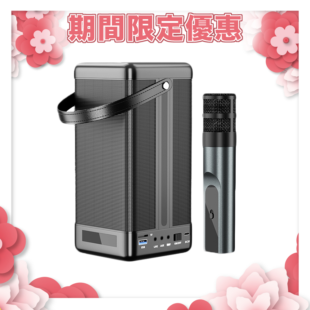 YOULISN 優力神 隨行K歌藍牙音響 S12 單麥組 S12