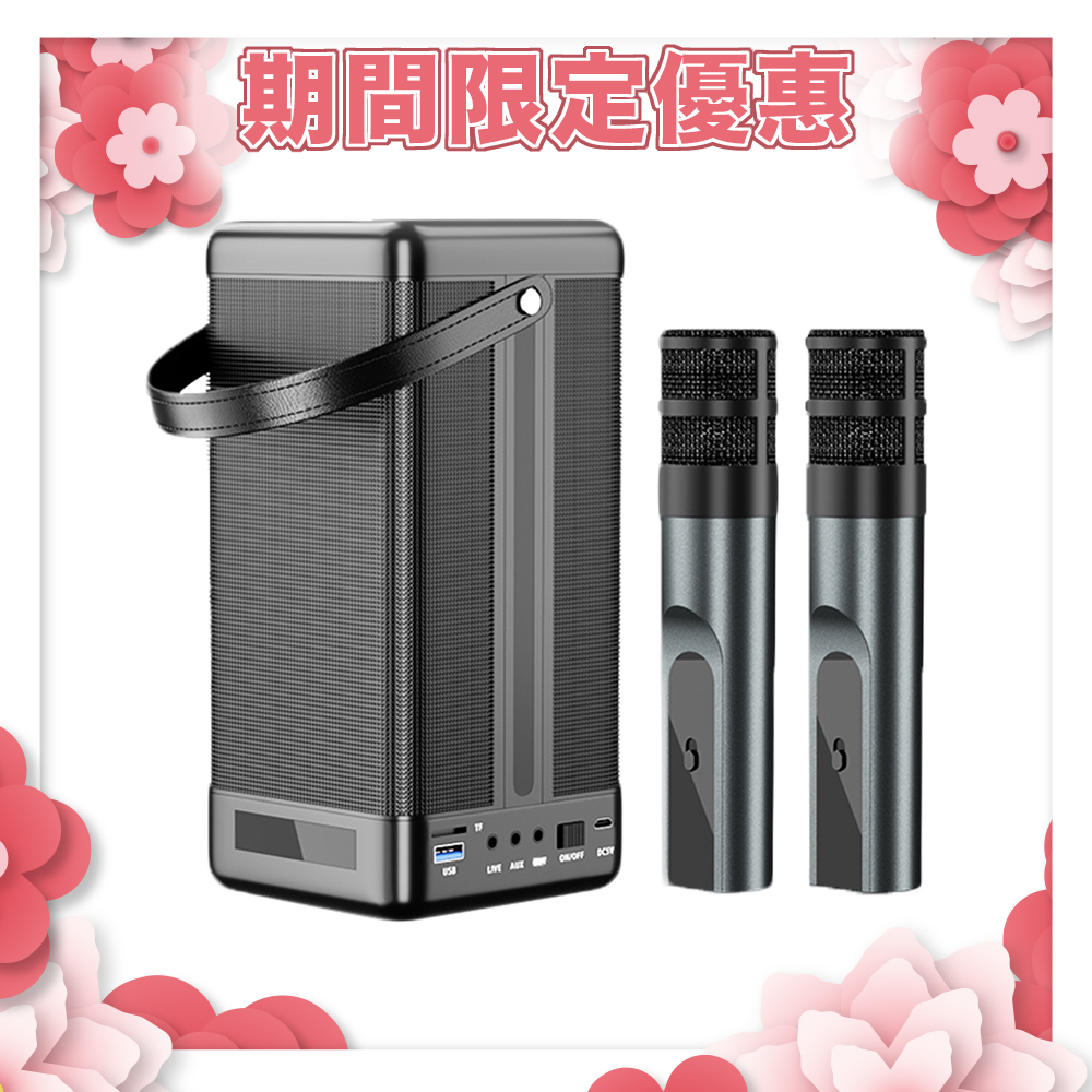 YOULISN 優力神 隨行K歌藍牙音響 S12 雙麥組 S12+S11