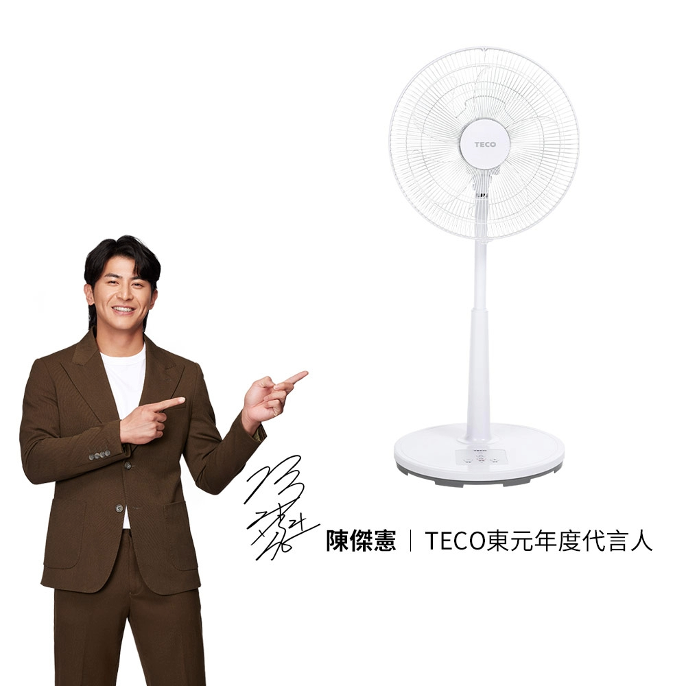 TECO東元 16吋DC馬達遙控立扇 XA1665BRD