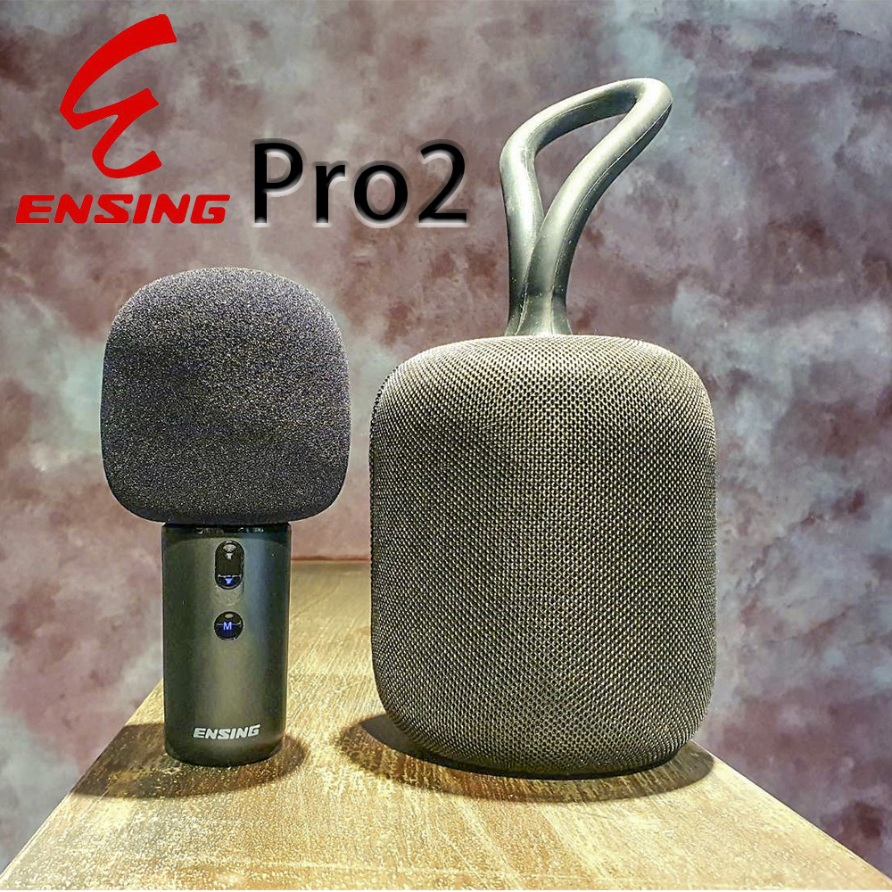 【ENSING】燕聲 Pro2 行動式K歌藍芽喇叭音響-送Pro2專業無線麥克風 隨時歡唱