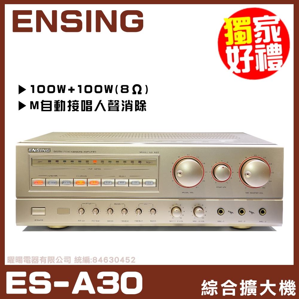 【ENSING ES-A30】燕聲電子 家庭式超值經典紀念機種