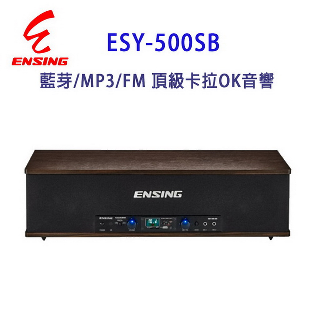 【ENSING】燕聲 ENSING ESY-500SB 藍芽/MP3/FM 頂級卡拉OK音響/擴音機/喇叭