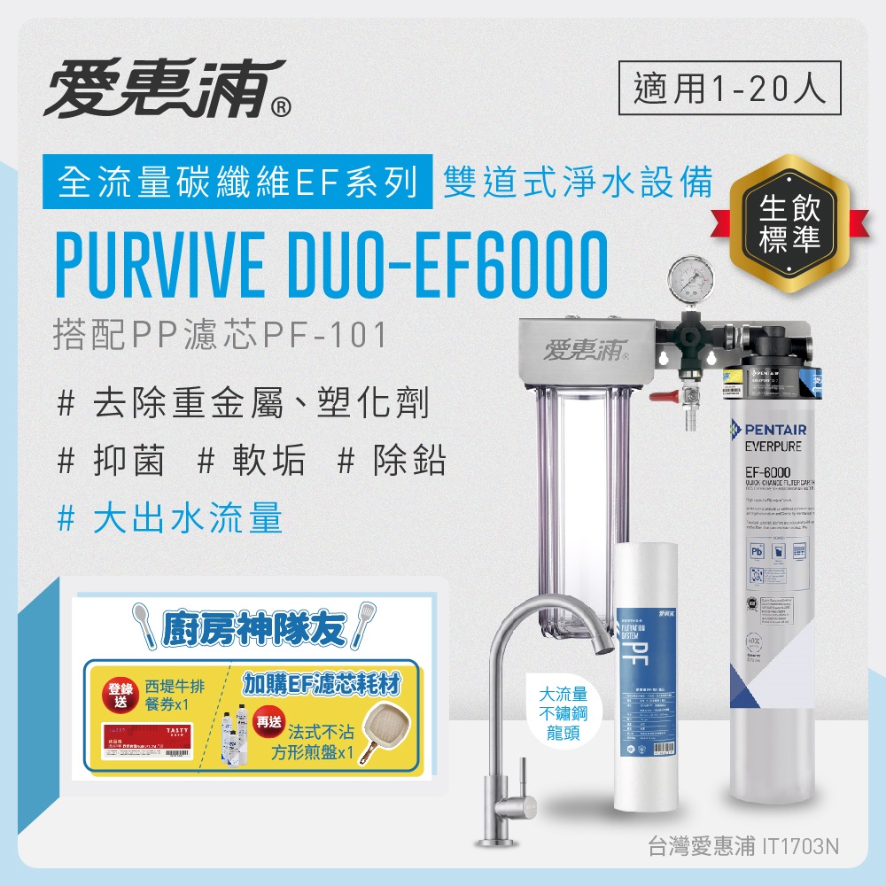 愛惠浦 EVERPURE PURVIVE Duo-EF6000兩道式廚下型淨水器(前置PP濾芯)