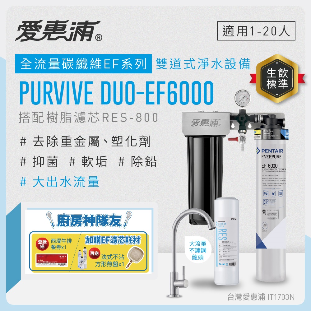 愛惠浦 EVERPURE PURVIVE Duo-EF6000兩道式廚下型淨水器(前置樹脂濾芯)