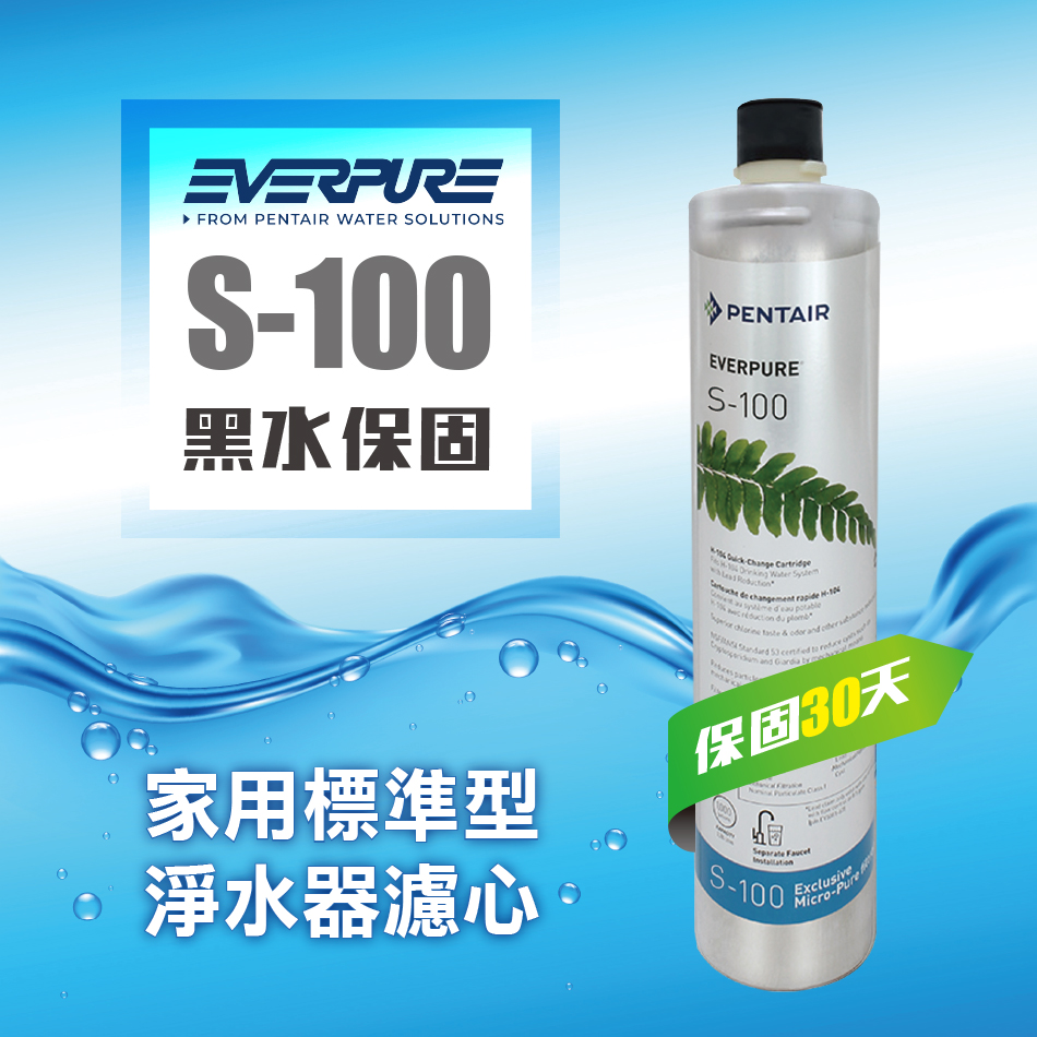EVERPURE S100家用標準型淨水器濾心(S-100濾芯)★請認明公司保固貼紙，享黑水保固★