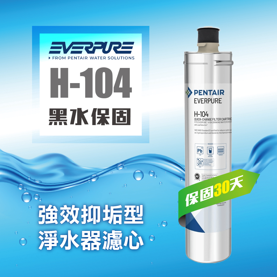 EVERPURE H104強效抑垢家用型淨水器濾心(H-104濾芯)★請認明公司保固貼紙，享黑水保固★