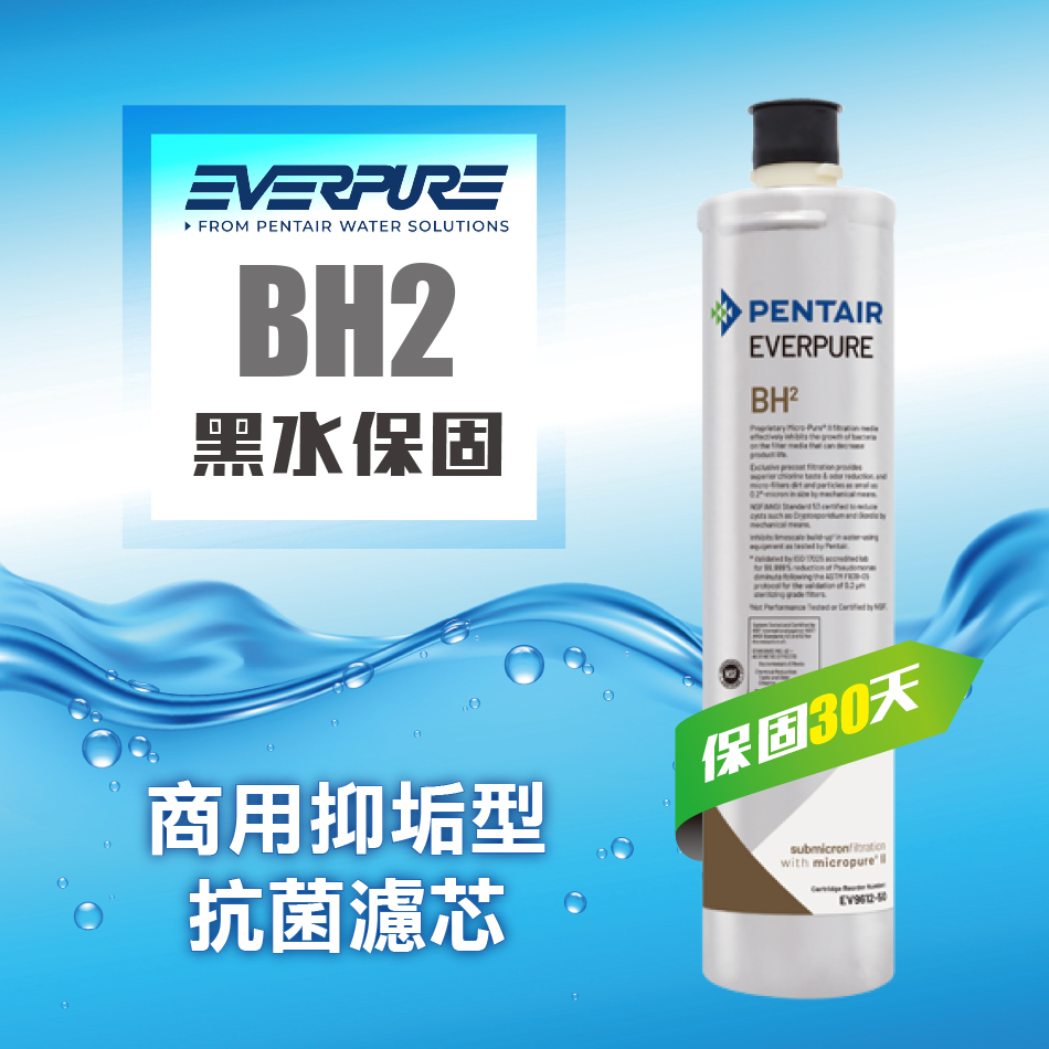 EVERPURE BH2活性碳濾芯/BH-2平行輸入濾芯★請認明公司保固貼紙，享黑水保固★
