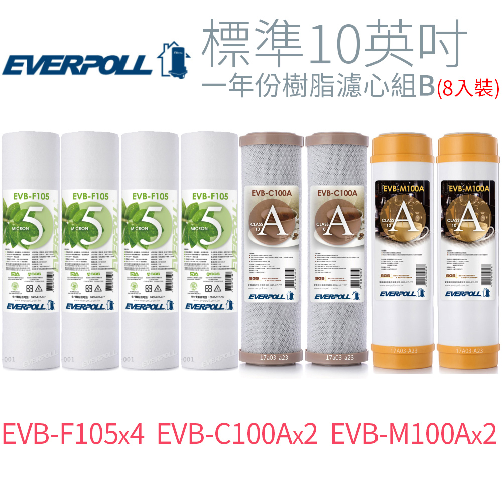 【EVERPOLL】標準10英吋 一年份樹脂濾心組B (8入)