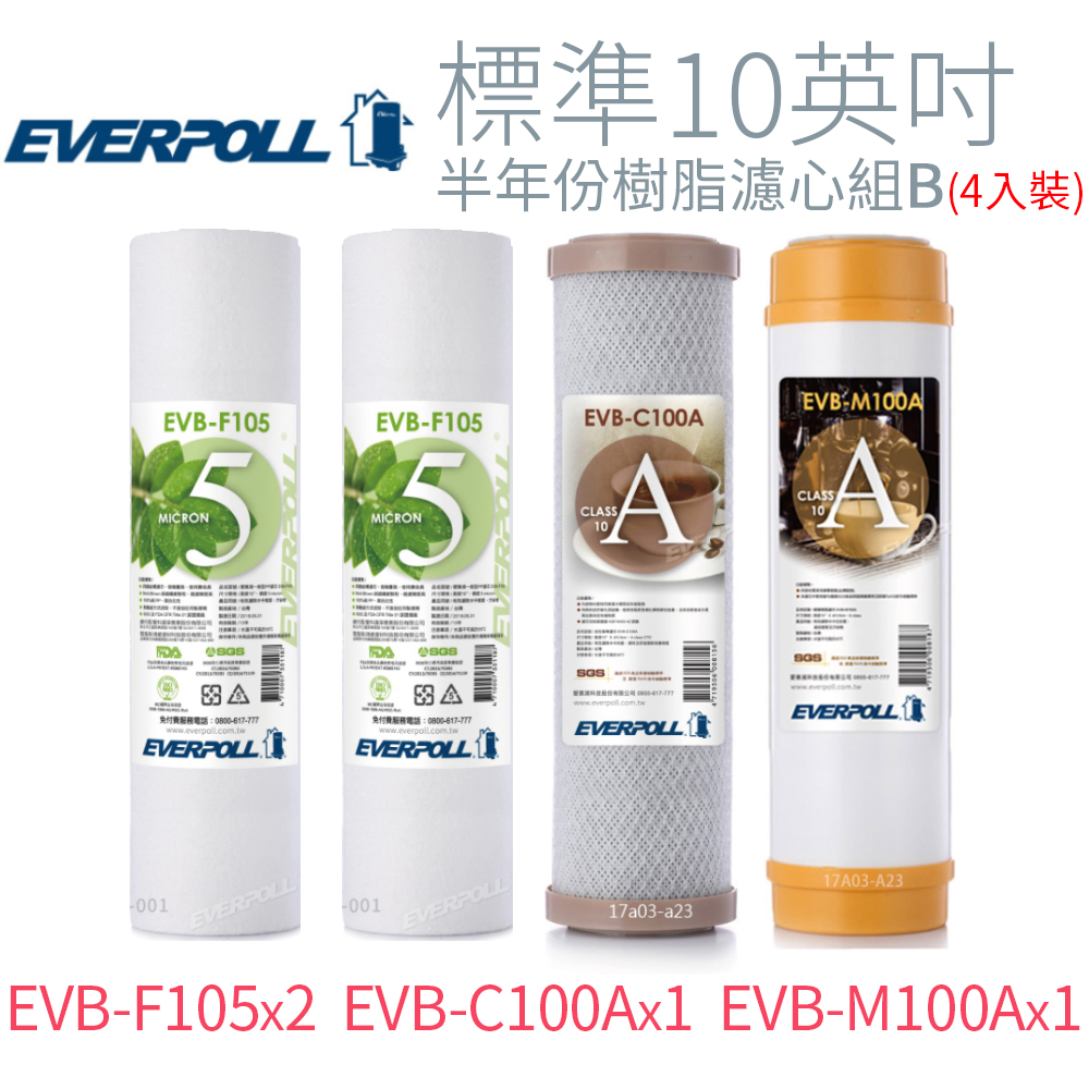【EVERPOLL】標準10英吋 半年份樹脂濾心組B (4入)