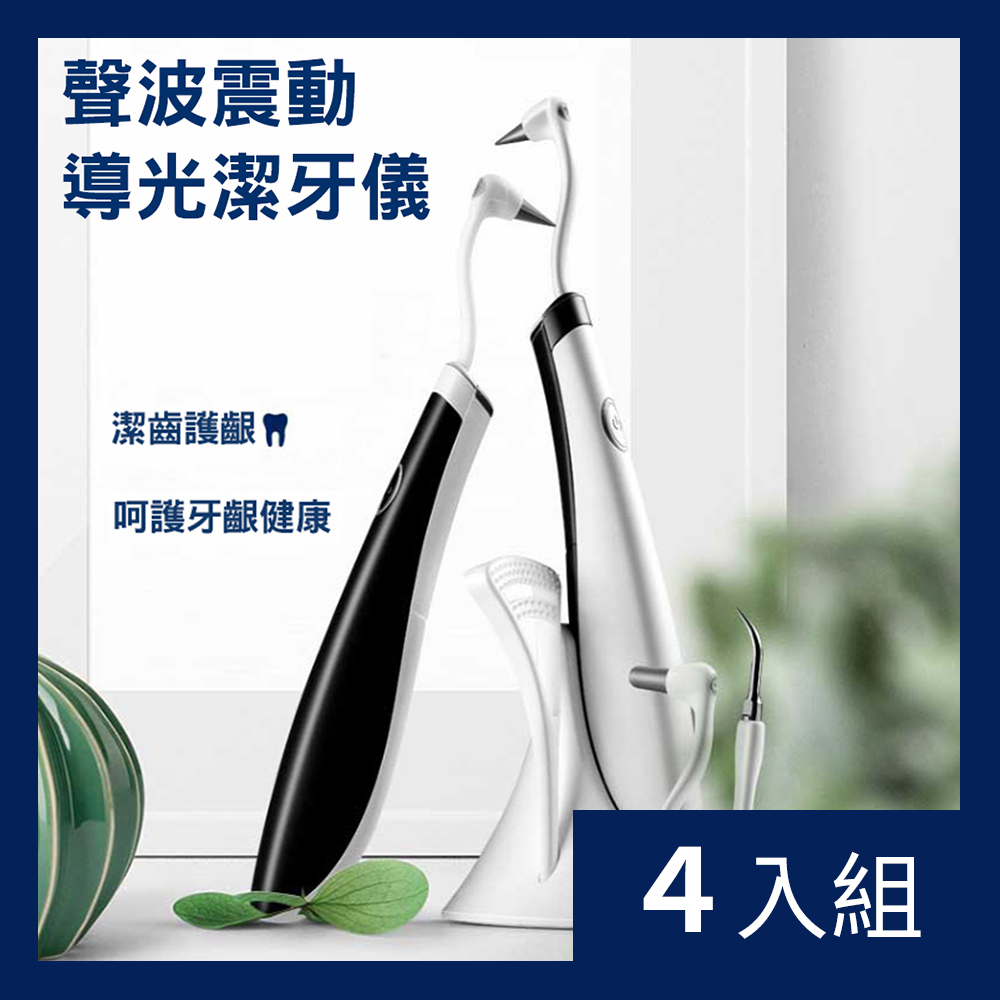 【CS22】VIBRATION 高效多功能電動潔牙沖牙器2色-4入