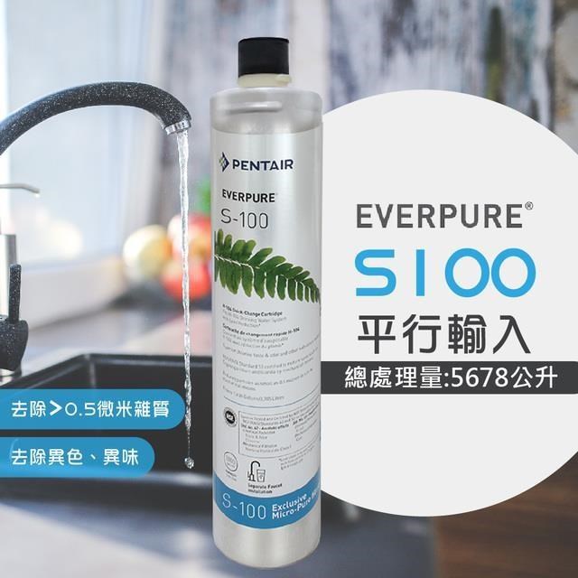 EVERPURE 愛惠浦 S100家用標準型淨水器濾心
