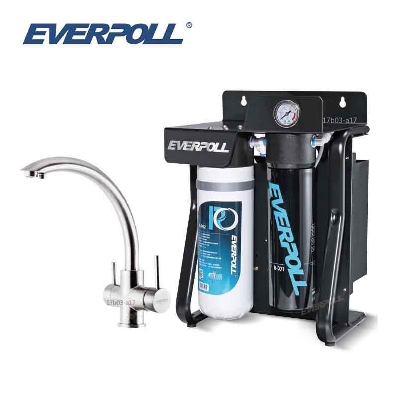 【EVERPOLL】直出式極淨純水設備 RO-900 搭配H-318不鏽鋼三用龍頭