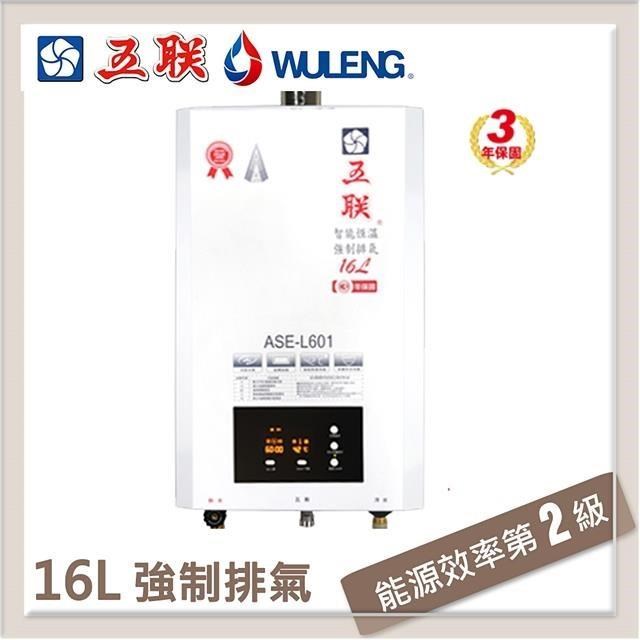 五聯 【南紡購物中心】  16L 智能恆溫強制排氣型熱水器 ASE-L601(NG1/FE式) 