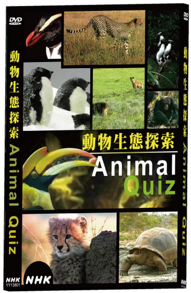 NHK 動物生態探索 DVD