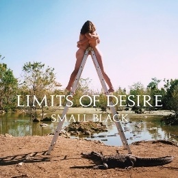 微黑樂團 / 慾望頂點 Limits Of Desire CD