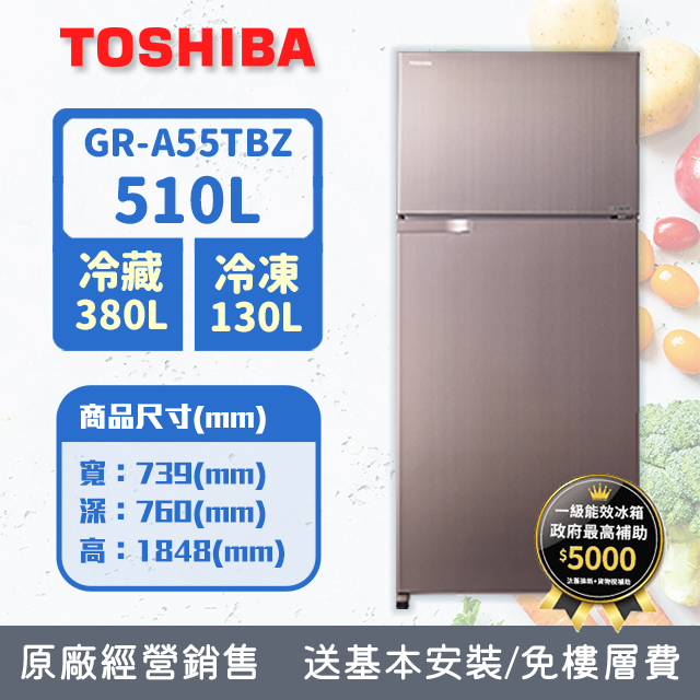 TOSHIBA東芝 510公升雙門變頻冰箱 典雅金 GR-A55TBZ(N)(含基本安裝+舊機回收)