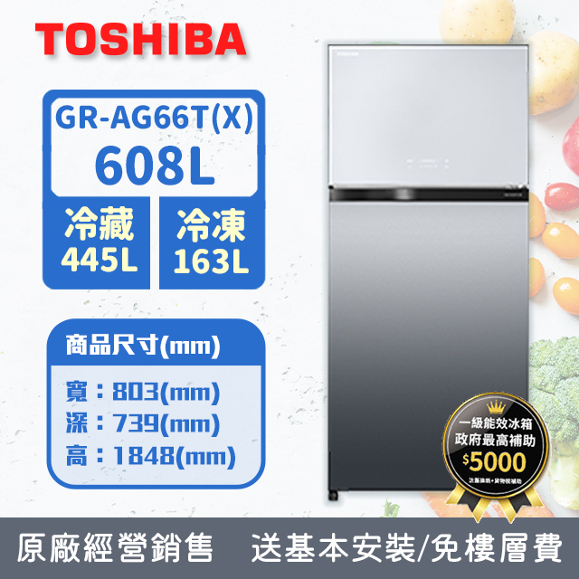 TOSHIBA東芝608公升變頻抗菌鮮凍鏡面雙門冰箱GR-AG66T(X)