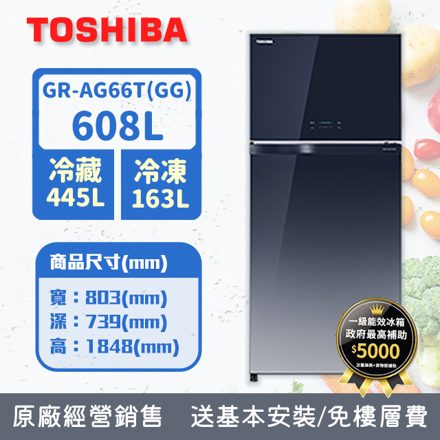 TOSHIBA東芝608公升變頻雙門冰箱GR-AG66T(GG)(漸層藍)