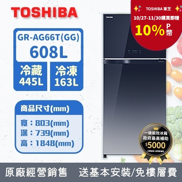 TOSHIBA 東芝 608公升變頻雙門冰箱GR-AG66T(GG)(漸層藍)
