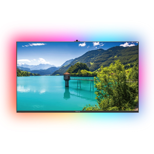 TECO 東元 55型 4K+ Google認證TV 杜比智慧液晶顯示器 含超薄壁掛架+電視情境燈 (TL55GU2TRE)