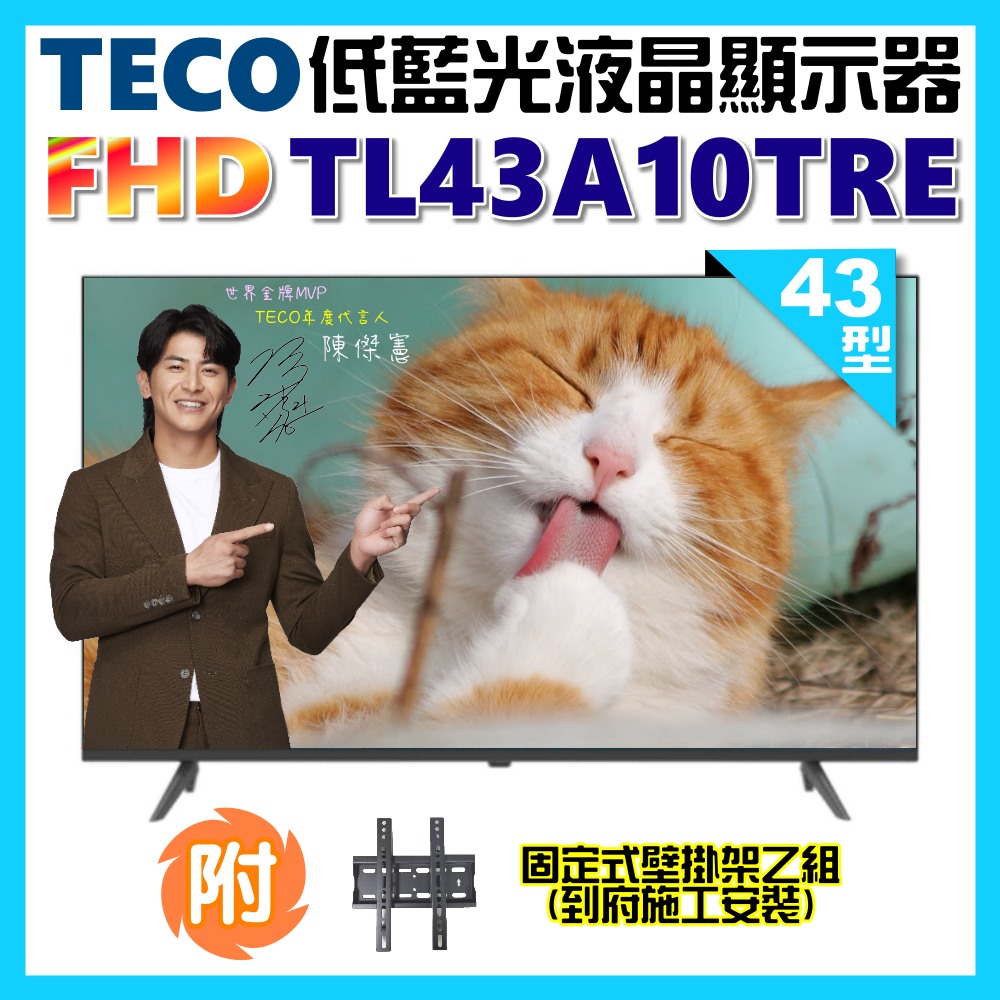 【TECO 東元】43型FHD低藍光液晶顯示器+壁掛安裝(TL43A10TRE)
