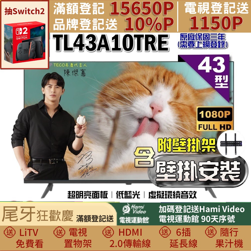 TECO 東元 43型FHD低藍光液晶顯示器+壁掛安裝(TL43A10TRE)