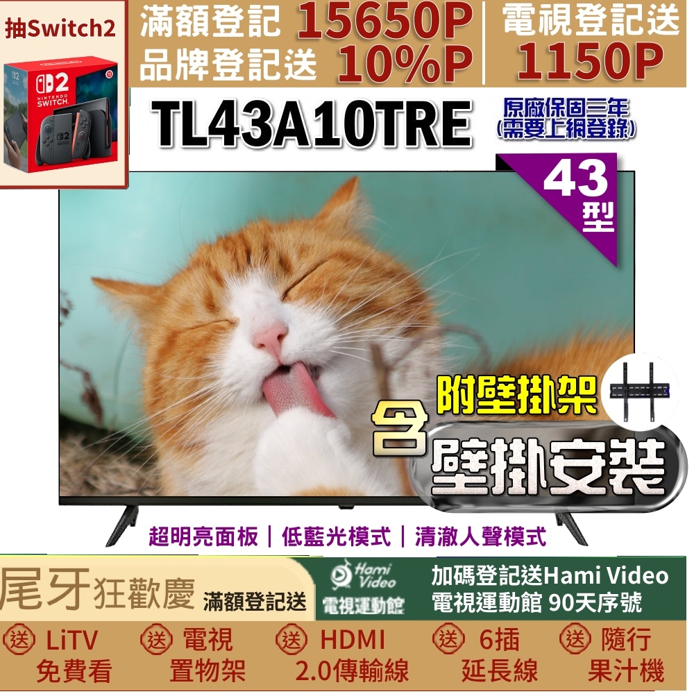 TECO 東元 43型FHD低藍光液晶顯示器+壁掛安裝(TL43A10TRE)