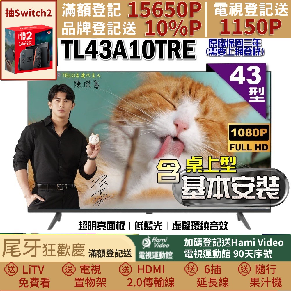 TECO 東元 43型FHD低藍光液晶顯示器+桌上型基本安裝(TL43A10TRE)