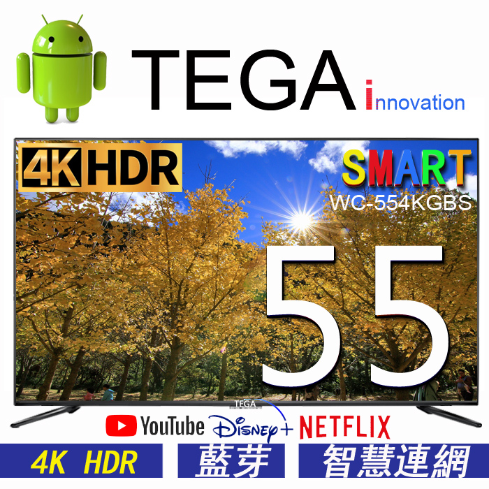 TEGA 55吋 液晶顯示器 WC-554KGBS