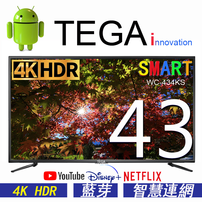 TEGA 43吋 4K智慧連網液晶顯示器