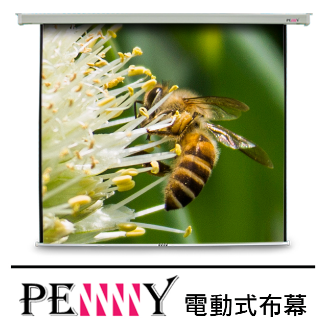 PENNY PS-100(1:1)方型電動幕