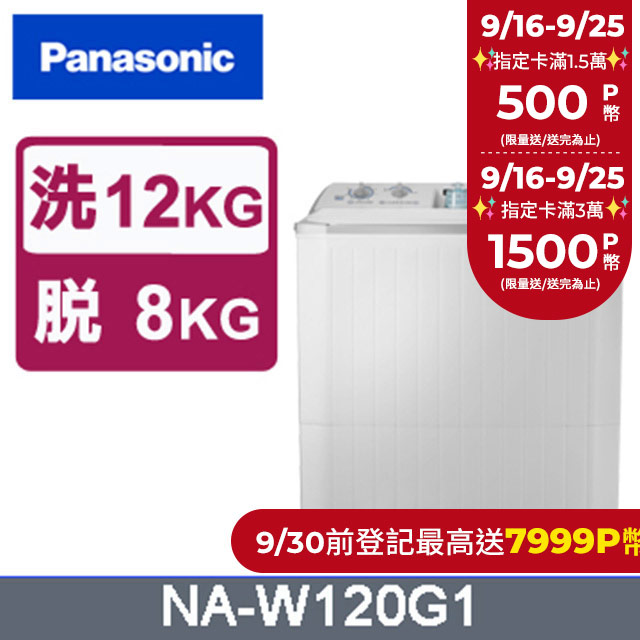 Panasonic國際牌 雙槽12公斤洗衣機 NA-W120G1