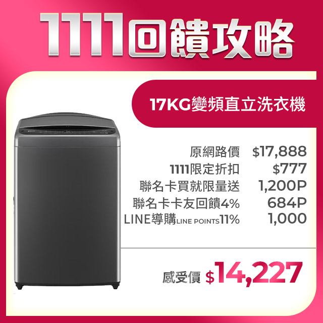 LG 樂金 17公斤AI DD 直驅變頻洗衣機(曜石黑)WT-VDN17M