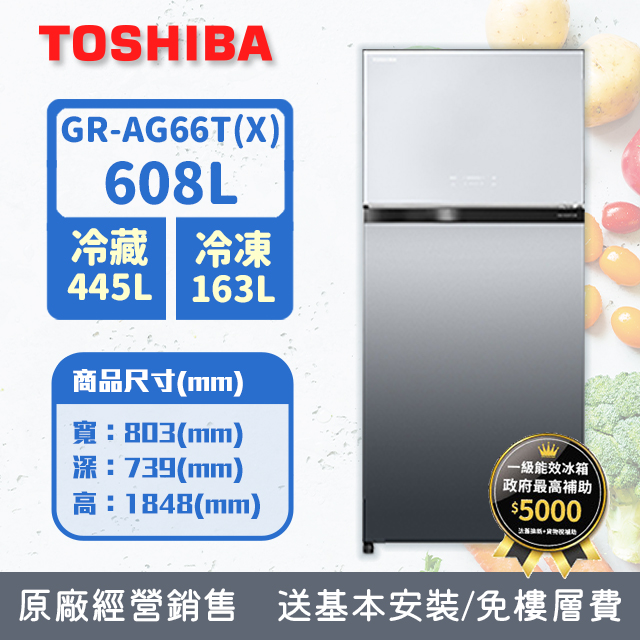 TOSHIBA東芝 608L 1級能效變頻雙門 抗菌鮮凍鏡面冰箱極光 GR-AG66T(X)(含基本安裝+舊機回收)