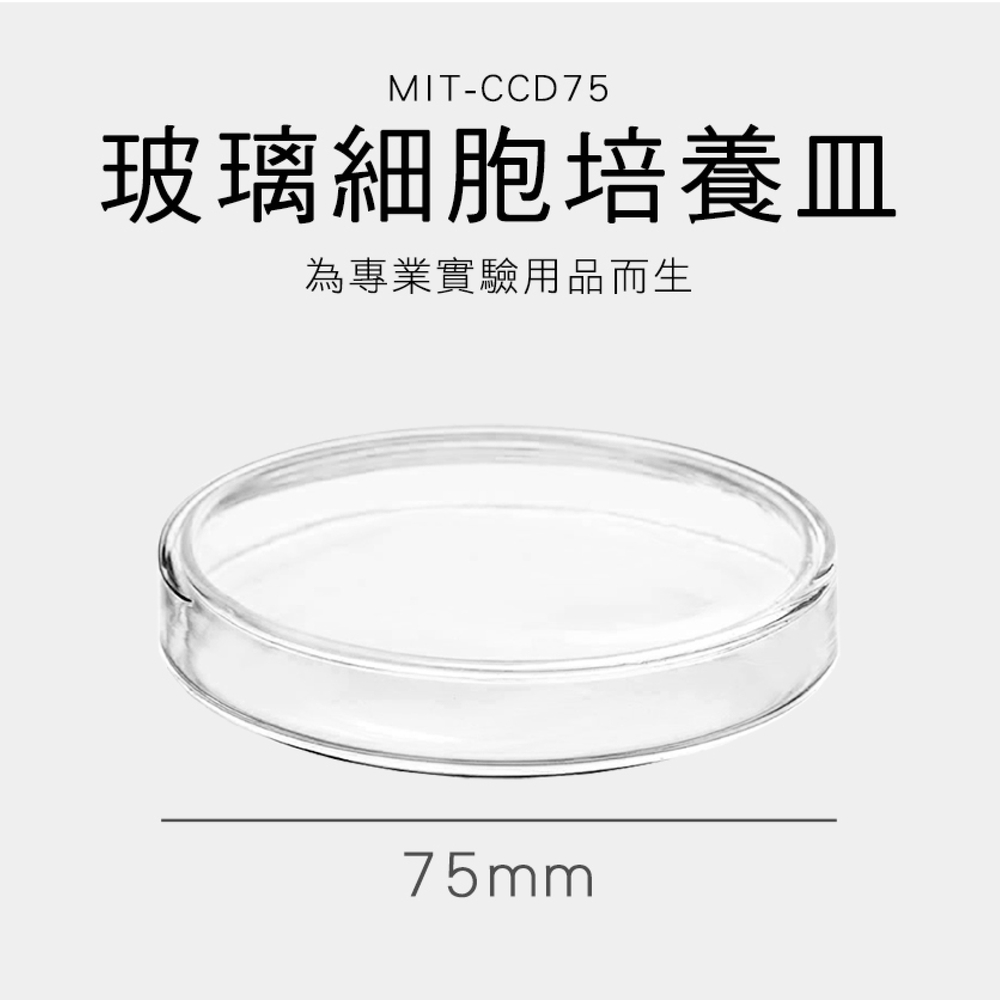550-CCD75 玻璃細胞培養皿75mm/20mm