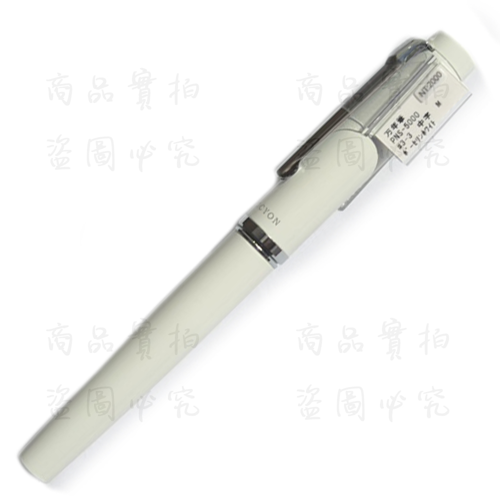 PLATINUM白金牌 PROCYON 白色鋼筆禮盒組