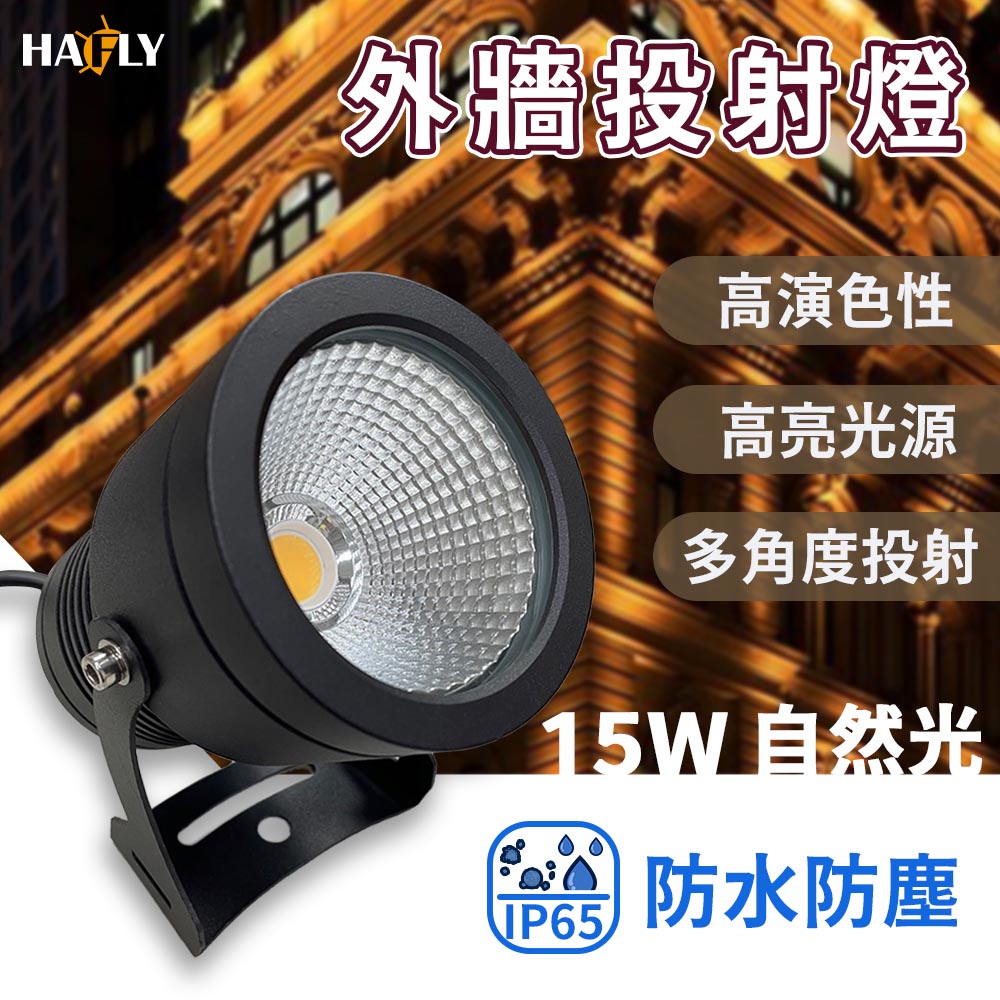 大友光電 外牆投射燈 15W LED 自然光 射燈 投光燈 插地燈 庭園燈 草坪燈 照樹燈 防水 庭院 造景