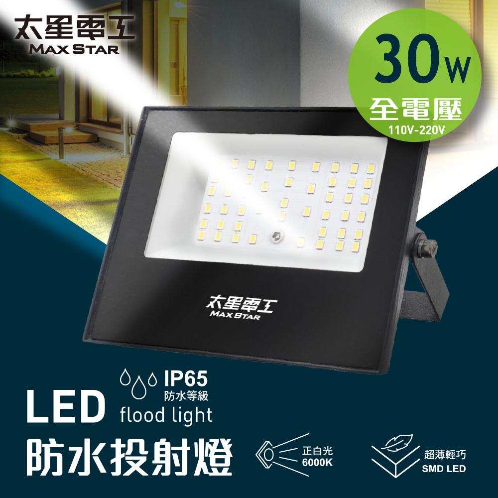 【太星電工】30WLED防水投射燈/全電壓110V-220V(WDA3030)