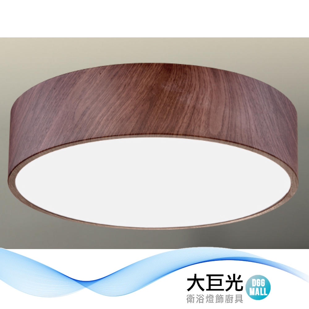 【大巨光】簡約風E27 雙燈 吸頂燈-小(LW-12-2696) 金屬烤漆