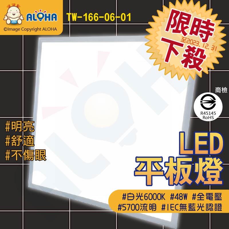 阿囉哈LED總匯_6000K白光輕鋼架平板燈(60*60)-48W-5700流明(TW-166-06-01)