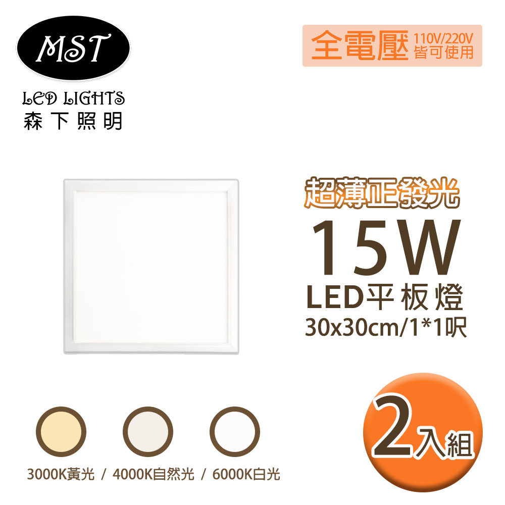 LED 超薄正發光15W 平板燈 30*30cm 2入(白光/自然光/黃光)