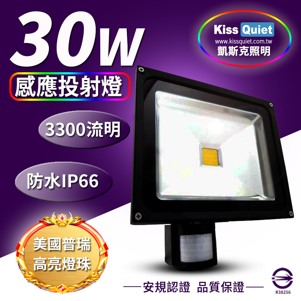 《Kiss Quiet》 質感黑(白光/黄光)30W LED感應投射燈全電壓高PF-1入