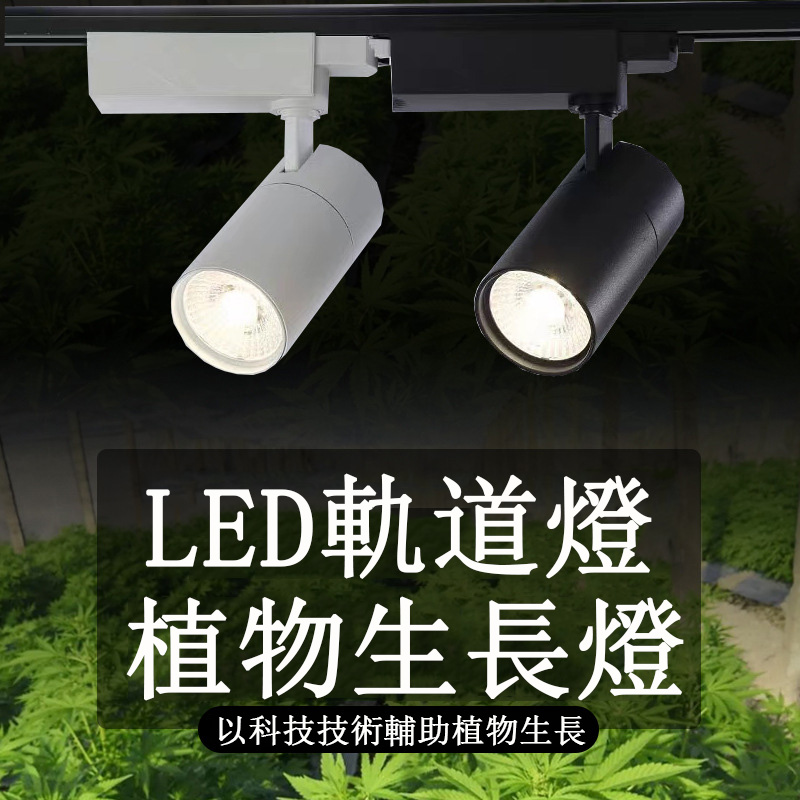 LED植物生長燈 40W綠植墻植物補光燈 園藝花店多肉植物燈 全光譜導軌射軌道燈