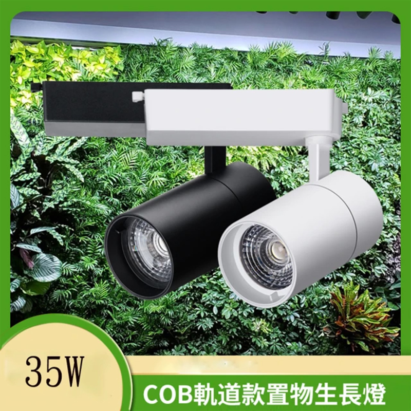 【居家家】35W全光譜cob多肉植物生長燈